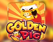 Golden Pig